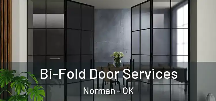  Bi-Fold Door Services Norman - OK