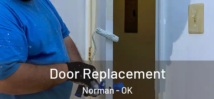  Door Replacement Norman - OK
