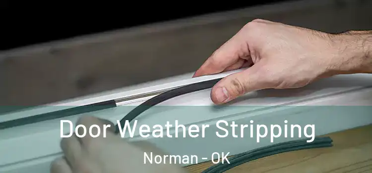 Door Weather Stripping Norman - OK