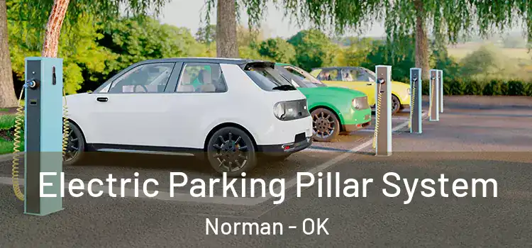  Electric Parking Pillar System Norman - OK