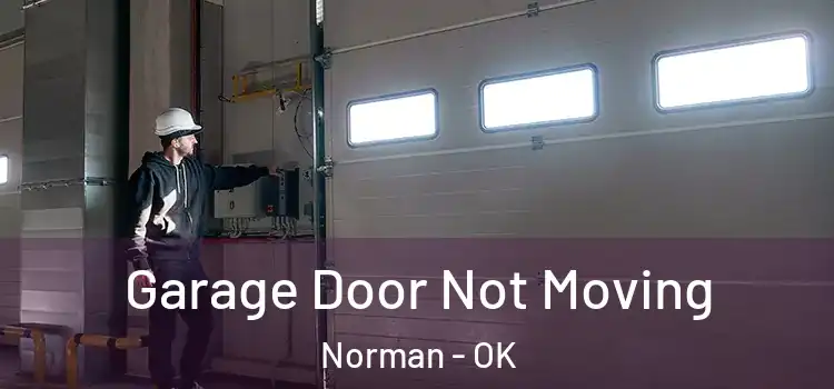  Garage Door Not Moving Norman - OK