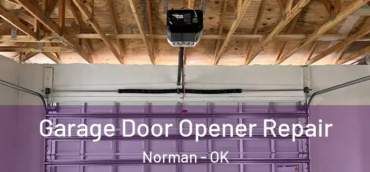  Garage Door Opener Repair Norman - OK