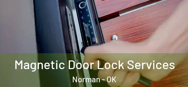  Magnetic Door Lock Services Norman - OK