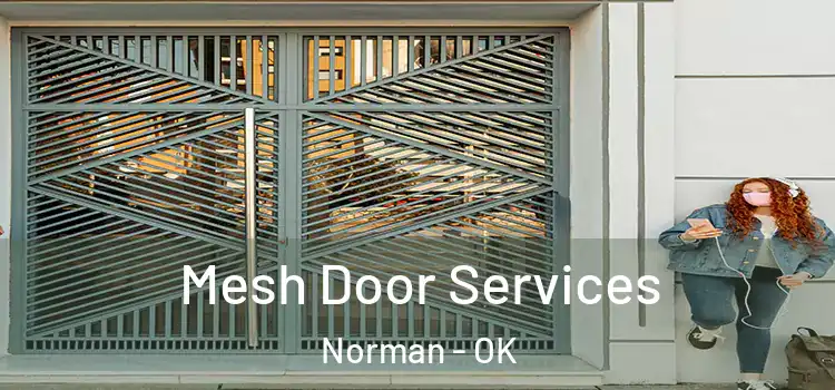 Mesh Door Services Norman - OK