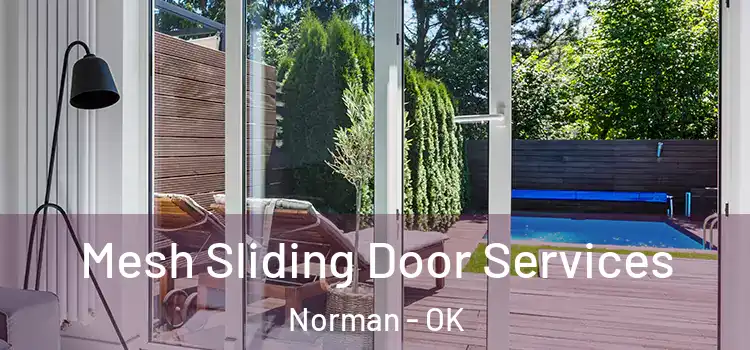  Mesh Sliding Door Services Norman - OK