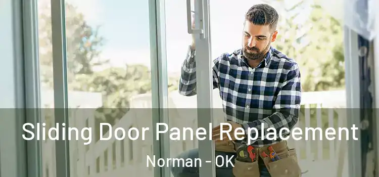  Sliding Door Panel Replacement Norman - OK