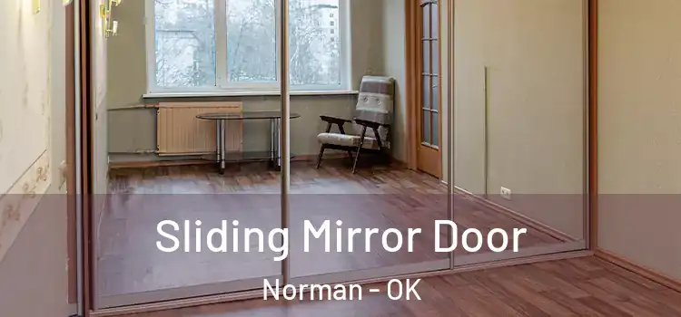  Sliding Mirror Door Norman - OK